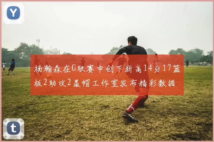 杨瀚森在G联赛中创下新高14分17篮板2助攻2盖帽工作室发布精彩数据海报